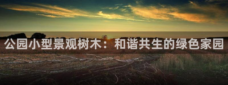 天顺娱乐士既pg22650