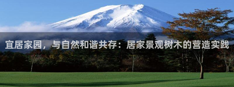 天顺娱乐下70 667