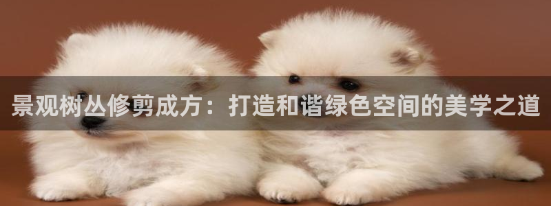 天顺娱乐仓943994