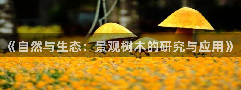 天顺娱乐岗943994
