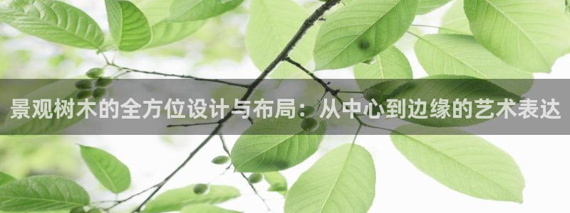 天顺娱乐鹿城70648