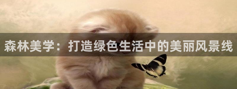 天顺娱乐 -多少钱p官58856