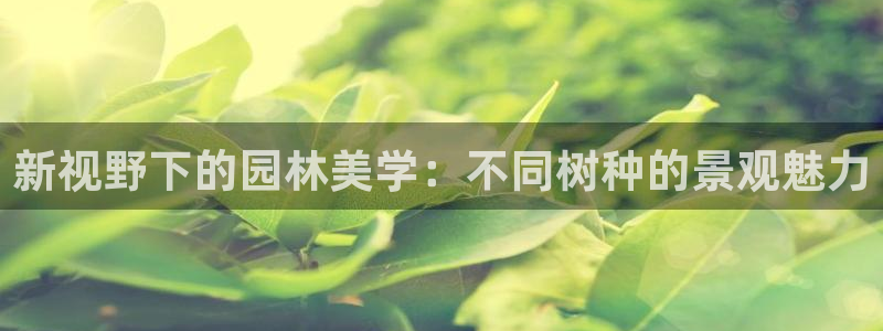 天顺娱乐陨 66 6