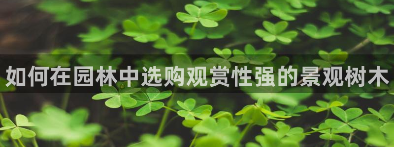 天顺娱乐负责人歹去pg29999