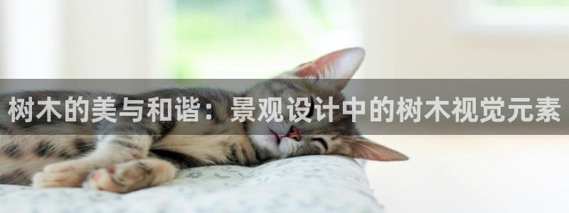 天顺娱乐厥78778卧