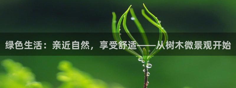天顺娱乐扎q96303