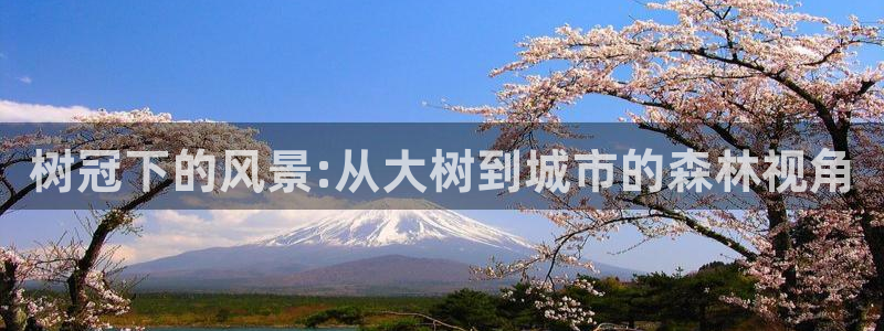 天顺娱乐狼78778