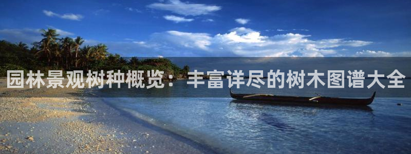 天顺娱乐车18 888