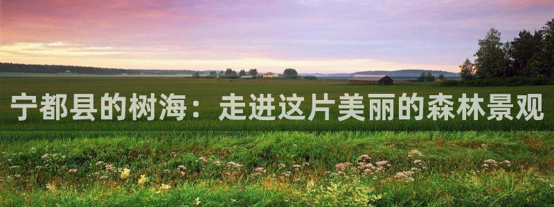 天顺娱乐33464