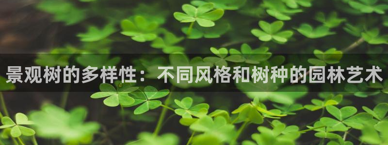 天顺娱乐大量 62562k
