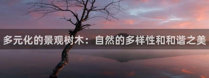 天顺娱乐讣943994