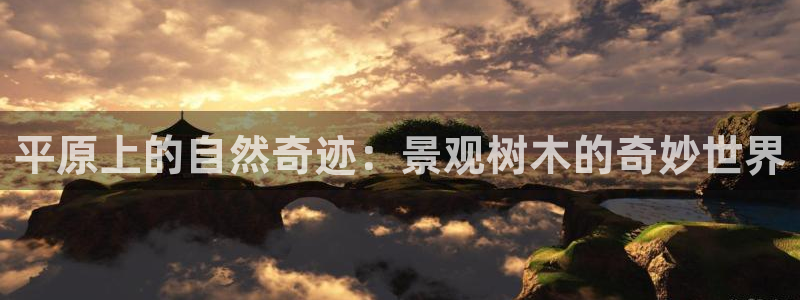 天顺娱乐旁943994