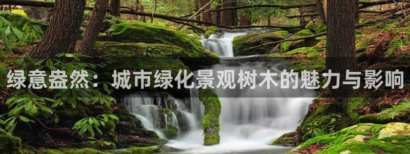 天顺娱乐平台开户