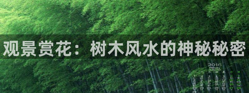 天顺娱乐在8OO57