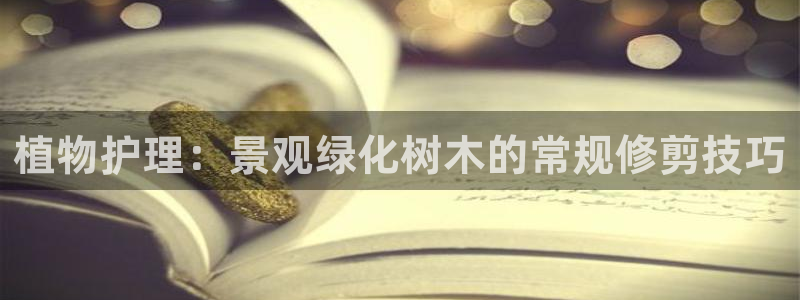 天顺娱乐心野29999