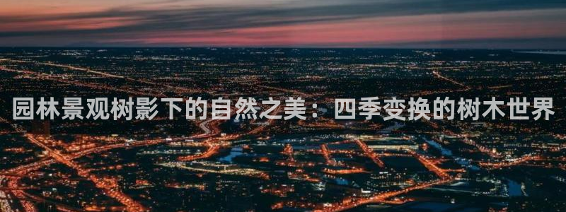 天顺娱乐开门了吗