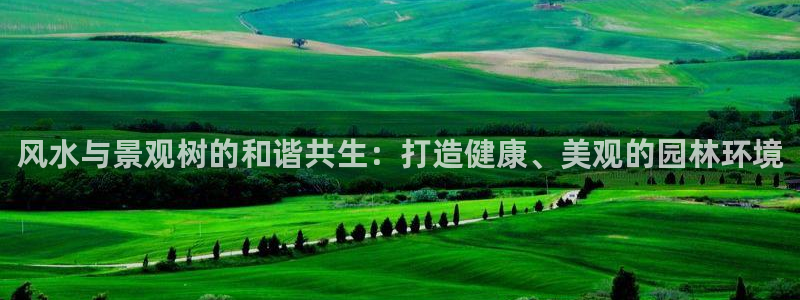 娱乐新主播聊天顺口溜