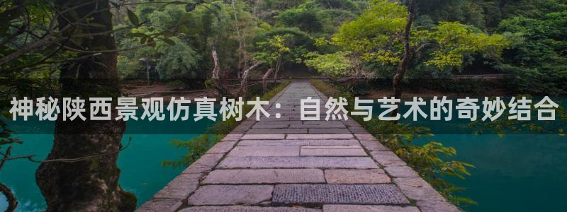 天顺娱乐股票代码
