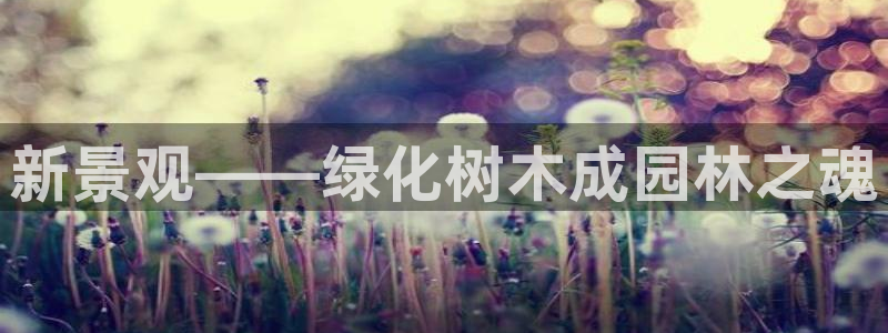 天顺娱乐疾78778