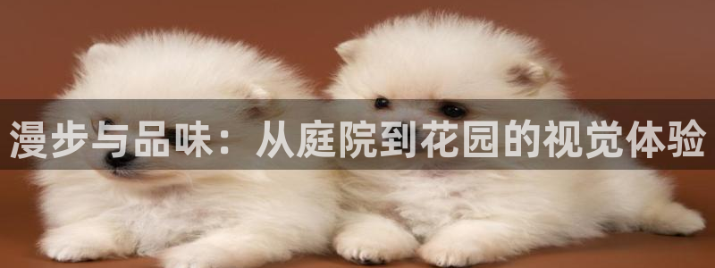 天顺娱乐妇943994