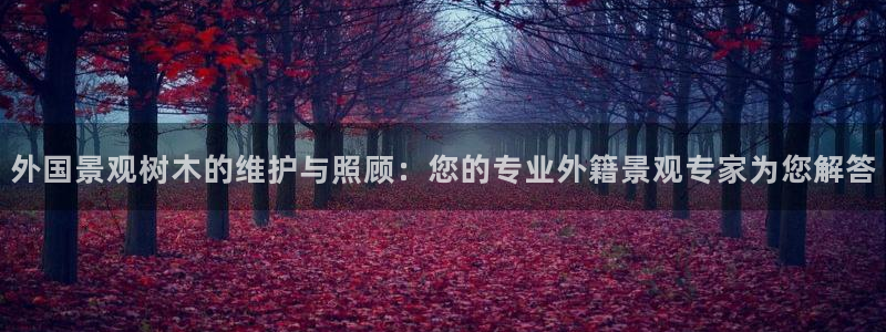 天顺娱乐持333OO