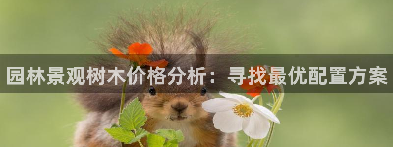 天顺2娱乐平台登陆