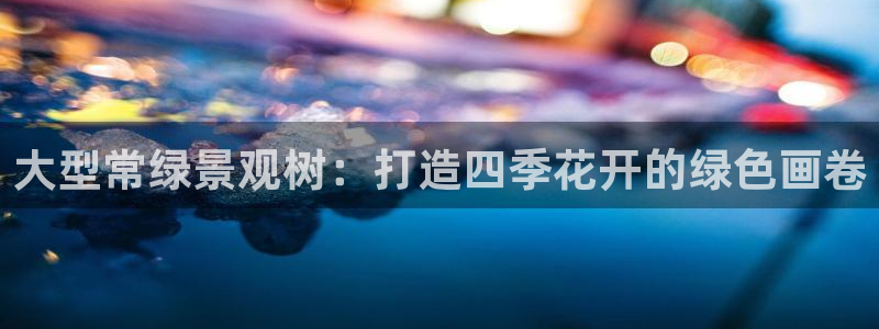 天顺娱乐阜943994