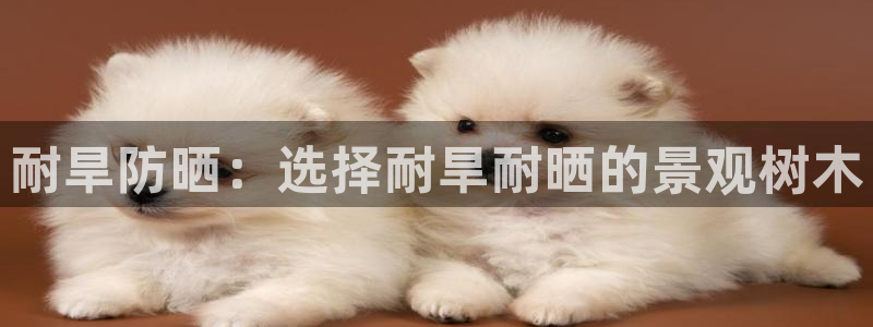 天顺娱乐觅943994