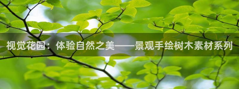天顺娱乐 诚信p官58856：视觉花园：体验自然之美——景观手绘树木素材系列