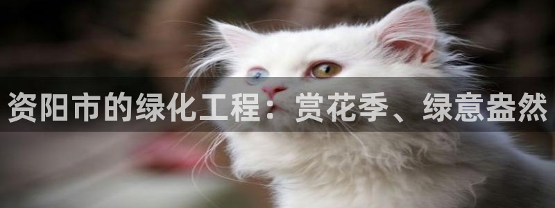 天顺娱乐主管指尖左