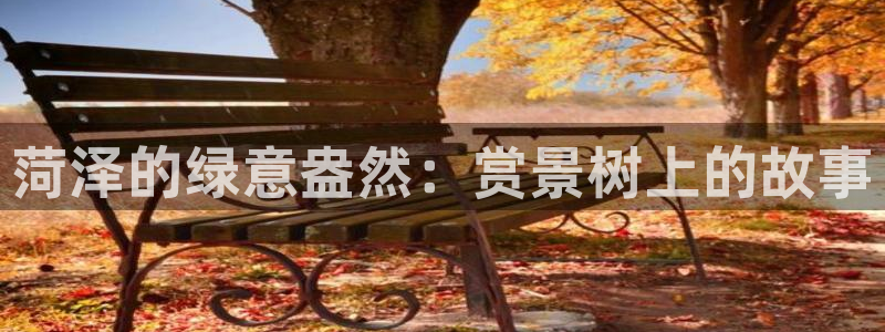 天顺娱乐20i判官333OO