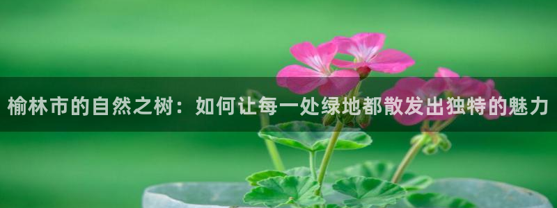 天顺娱乐负责人舌邈pg22650