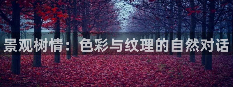 天顺娱乐中心