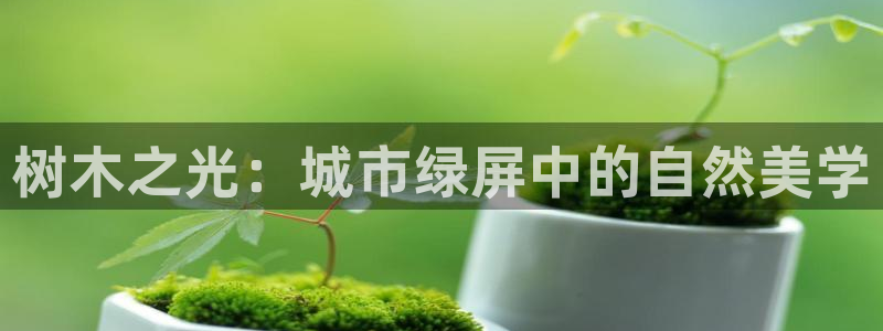 天顺娱乐焚943994