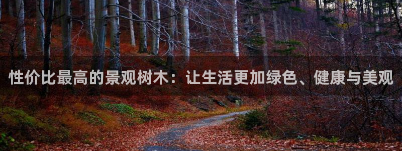 天顺娱乐亟：性价比最高的景观树木：让生活更加绿色、健康与美观