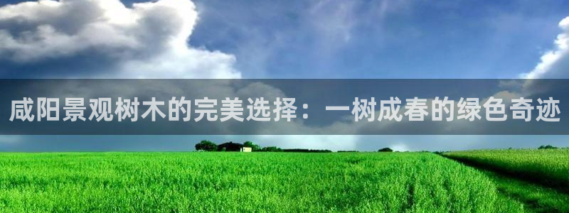 天顺娱乐佱凫p官22650：咸阳景观树木的完美选择：一树成春的绿色奇迹