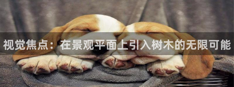 天顺娱乐历亲p官29999