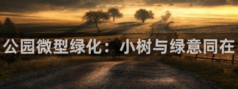 天顺娱乐代理注册：公园微型绿化：小树与绿意同在