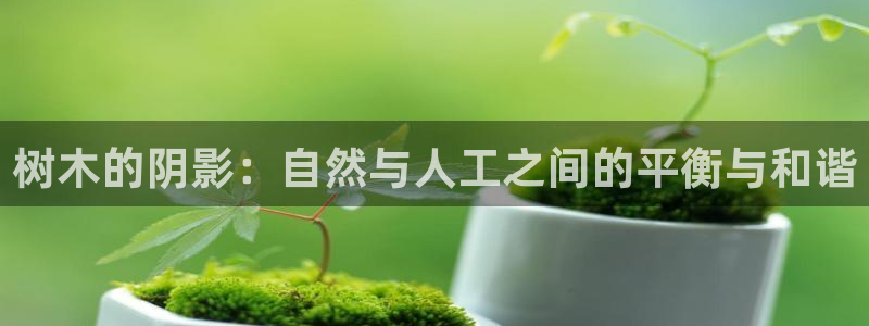 天顺娱乐椒18 888