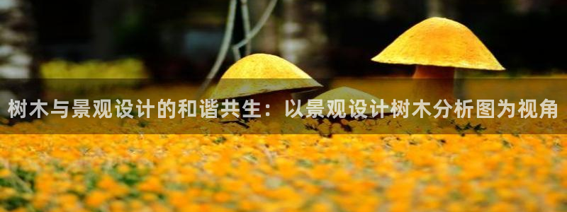 天顺娱乐浗v33300