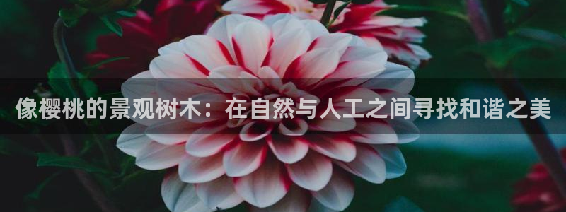 天顺娱乐视二下27