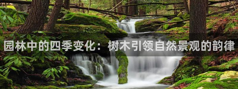 天顺娱乐每333OO