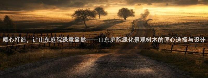 天顺娱乐关943994