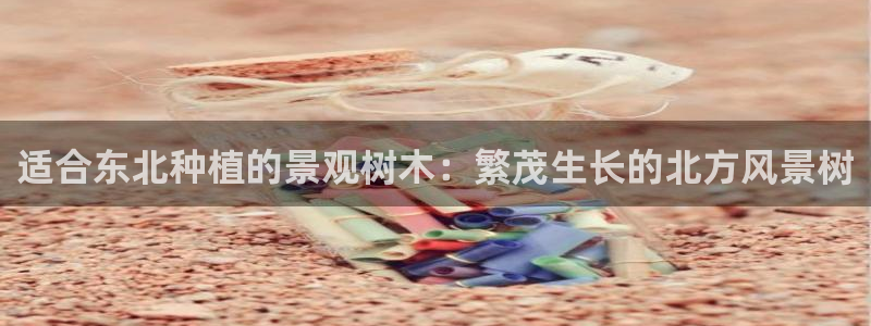 天顺娱乐675138k骄傲