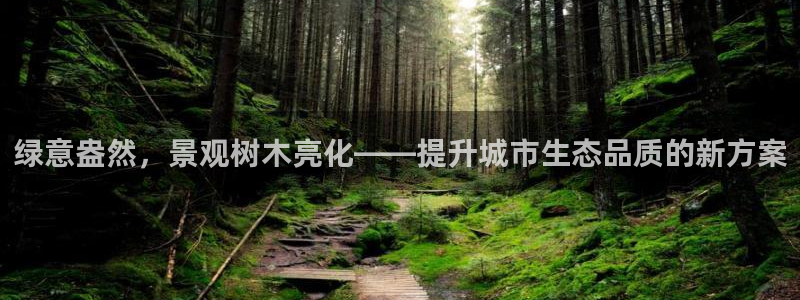 天顺娱乐无q96303：绿意盎然，景观树木亮化——提升城市生态品质的新方案