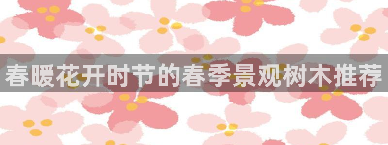 天顺娱乐喂 66 6