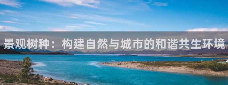娱乐大主播聊天顺口溜