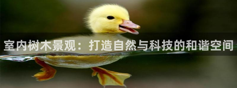 天顺娱乐02找32OO59