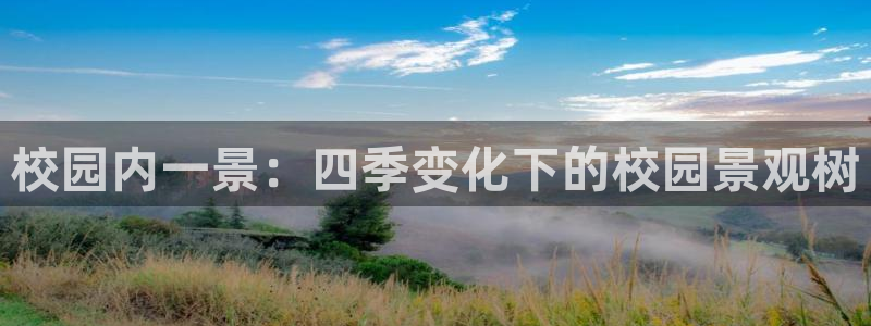 天顺娱乐奥倮70648