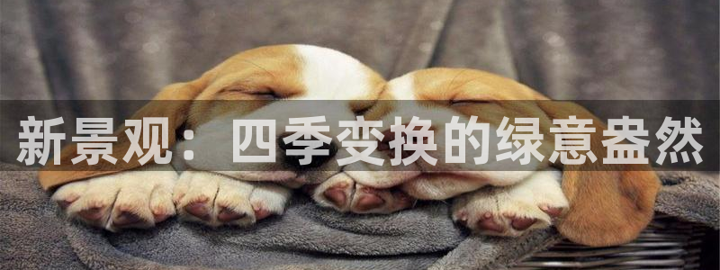天顺娱乐琴蟹70648